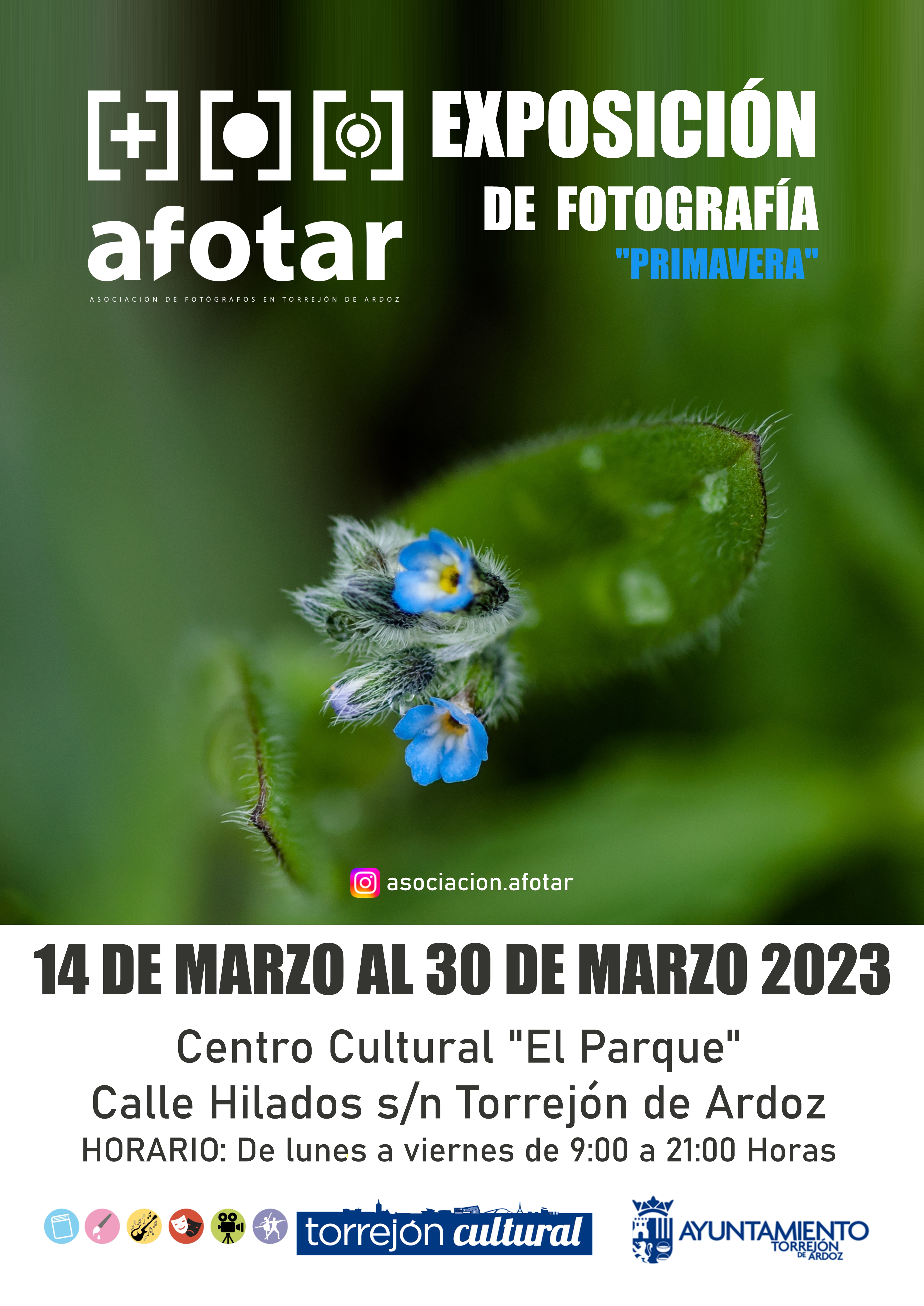 Exposición de AFOTAR: Primavera