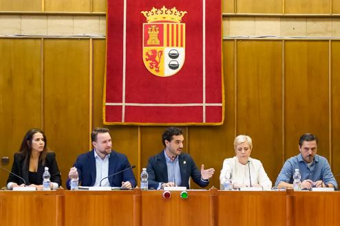 El alcalde, Alejandro Navarro, presentando su iniciativa para nombrar Alcaldesa Honoraria de la Ciudad de Torrejón de Ardoz a la Virgen del Rosario Coronada