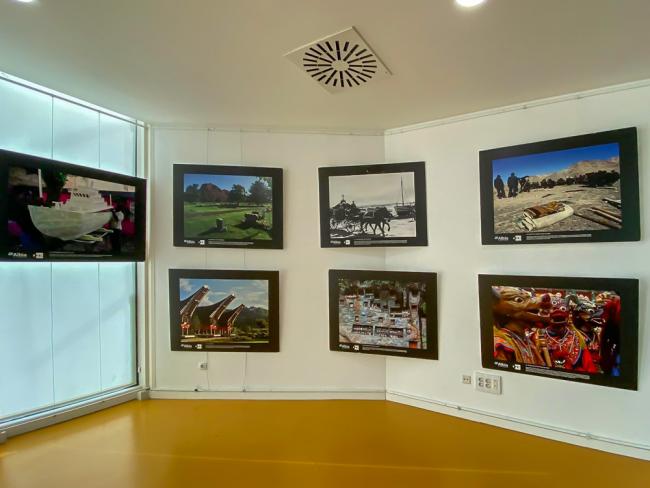 Exposiciones