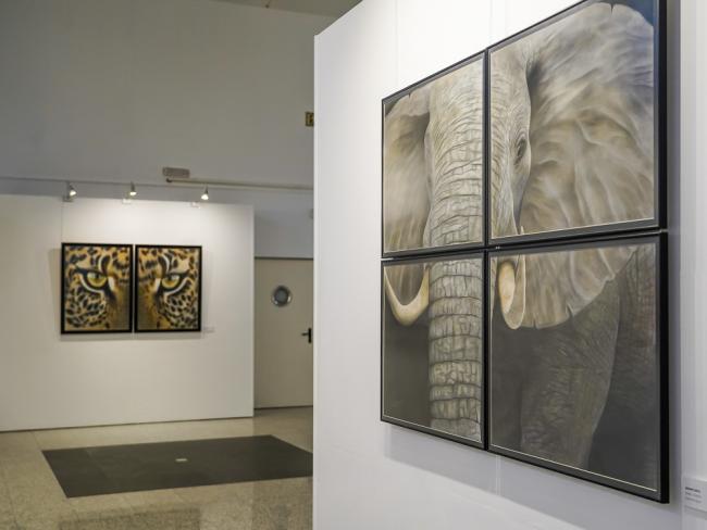Exposiciones