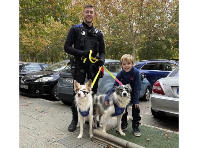 La Policía Local de Torrejón de Ardoz rescata a dos perros atrapados en el interior de un vehículo cerrado con las llaves dentro 