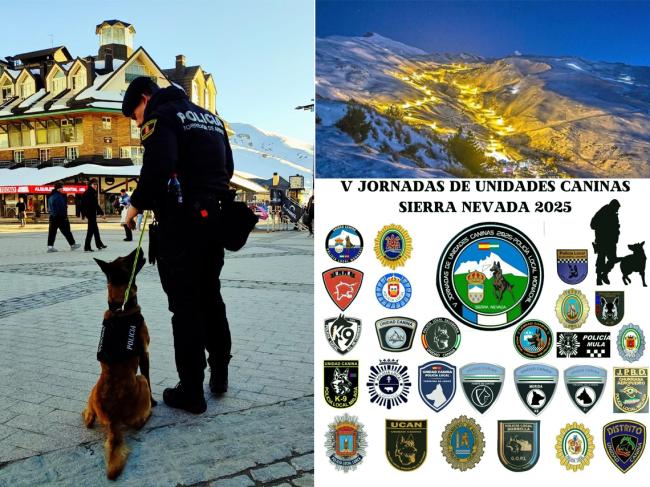 La Policía Local de Torrejón de Ardoz participa en las V jornadas de las unidades caninas en Sierra Nevada 