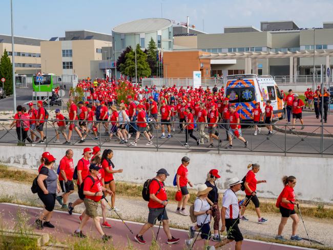 Cerca de 600 personas recorrieron la última etapa del Camino de Cervantes