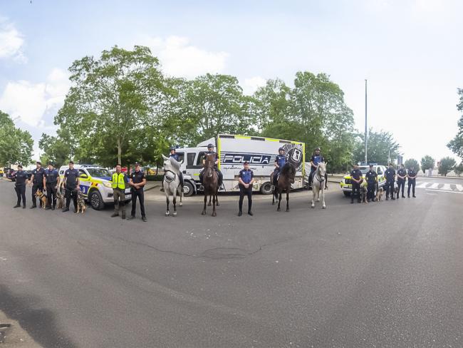 Efectivos de Policía Local de Torrejón y del escuadrón a caballo de la Policía local de Madrid