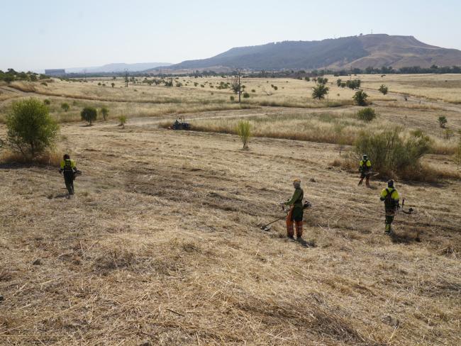 Labores de desbroce en la Finca Soto Espinillo