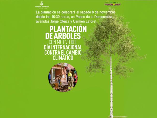 Plantación de árboles