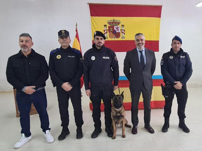 El acto de clausura y entrega de diplomas tuvo lugar en las instalaciones del CEMILCADEF y contó con la presencia del concejal de Seguridad, Alberto Cantalejo, el comisario principal de la Policía Local, Miguel Parra, el Oficial, Ivan Solera, responsable de la Unidad Canina de la Policía Local de Torrejón y Roberto Pisabarro, instructor de CEMILCADEF