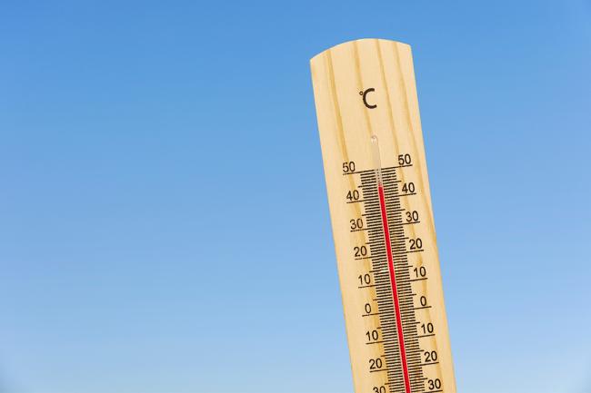consejos altas temperaturas