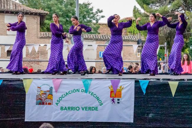 Fiestas Barrio Verde
