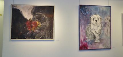 Imagen no disponible