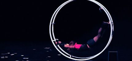 Imagen no disponible