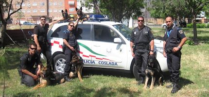 Imagen no disponible