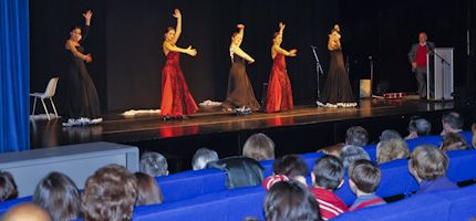 Imagen no disponible