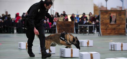 Imagen no disponible