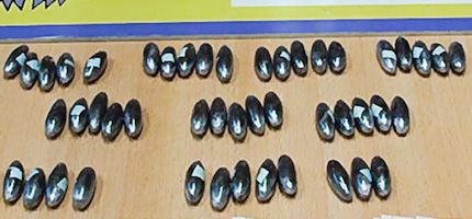 Imagen no disponible