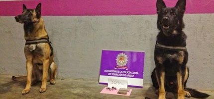 Imagen no disponible