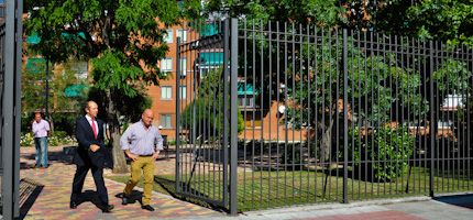 Imagen no disponible