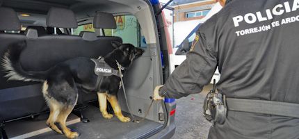 Imagen no disponible