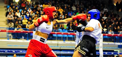 Imagen no disponible