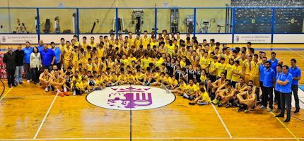 Imagen no disponible