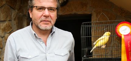 Imagen no disponible