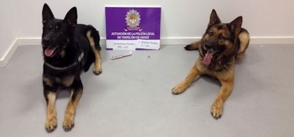 Imagen no disponible