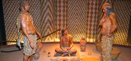 Imagen no disponible