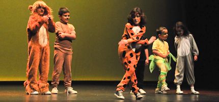 Imagen no disponible