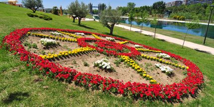 Imagen no disponible