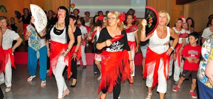 Imagen no disponible