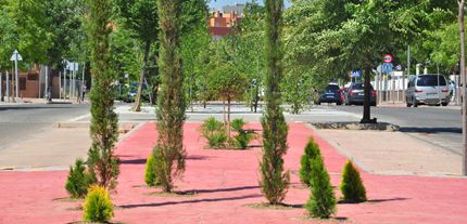 Imagen no disponible