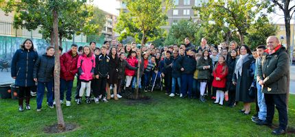 Imagen no disponible